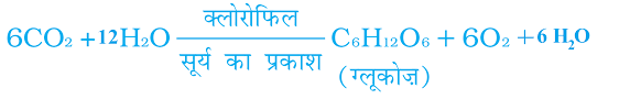 Photosynthesis In Hindi 