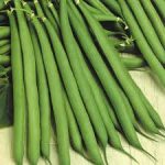 green vegetables names with pictures